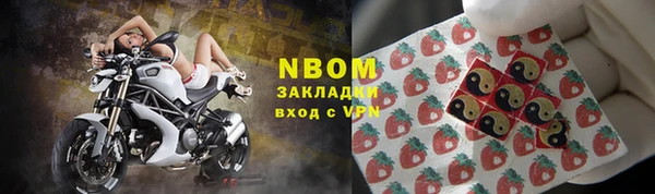 шишки Инсар