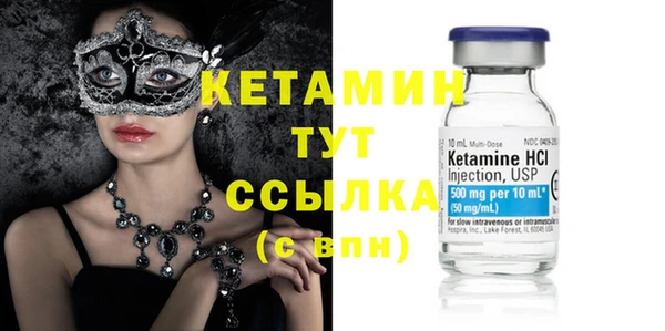 шишки Инсар