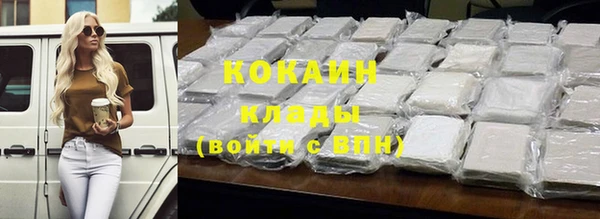 Альфа ПВП Инта