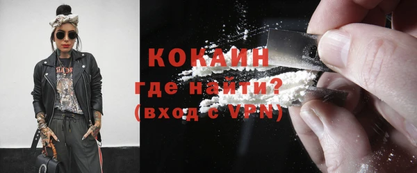 шишки Инсар