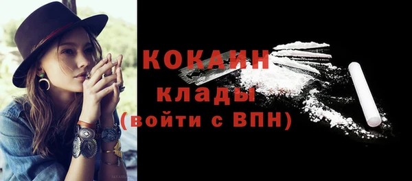 шишки Инсар