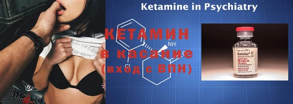 шишки Инсар