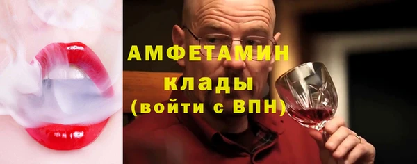 шишки Инсар