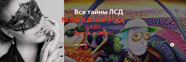 шишки Инсар