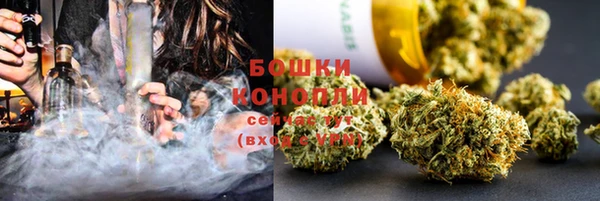 крисы Иннополис