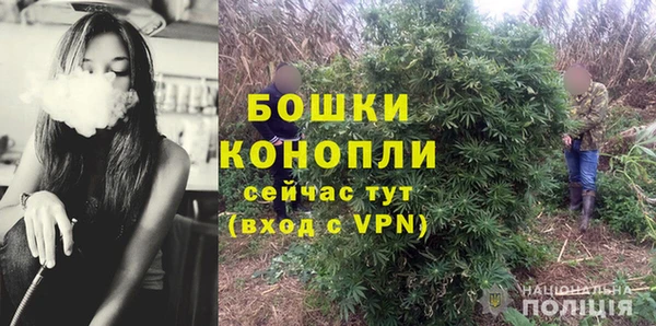 Альфа ПВП Инта
