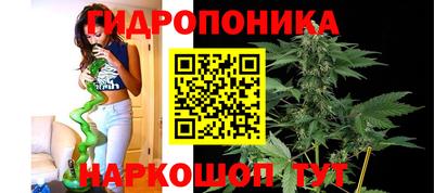 ПСИЛОЦИБИНОВЫЕ ГРИБЫ Гусь-Хрустальный