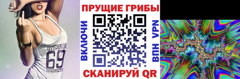 Галлюциногенные грибы мицелий  продажа наркотиков  Батайск 